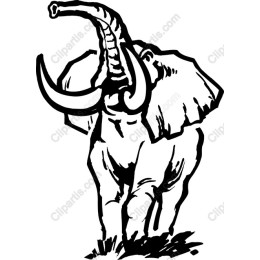 Majestic Elephant