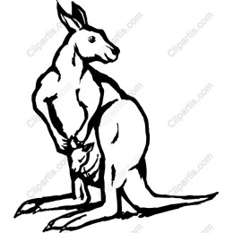 Kangaroo Family - Mother and Joey