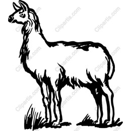 Llamas