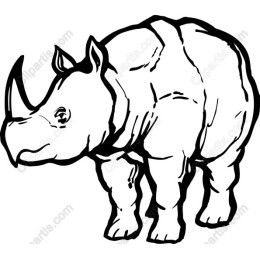 Rhinoceros