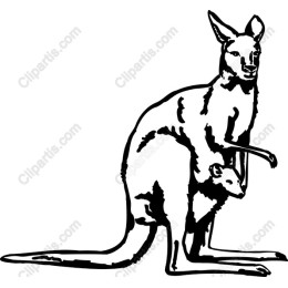 Kangaroo and Joey