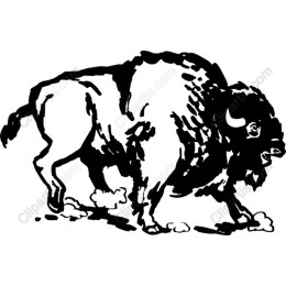 Majestic Bison
