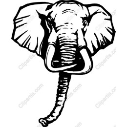 Majestic Elephant Head