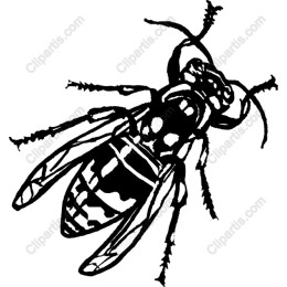 Bees