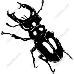 Stag Beetle