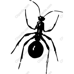 Hand-Held Insect