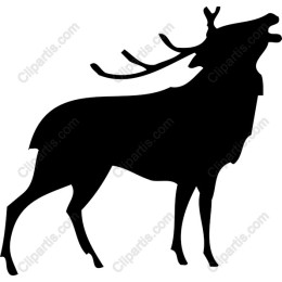 Majestic Deer