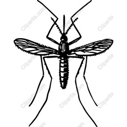Mosquito - High-Quality and Files