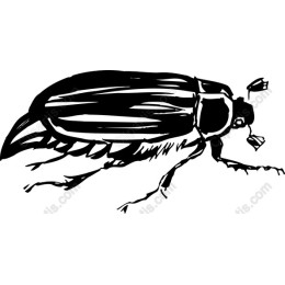 Stylized Beetle