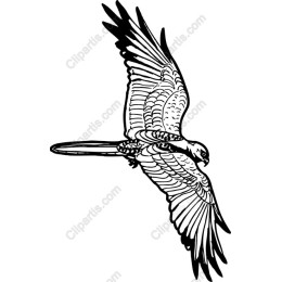 Soaring Parrot