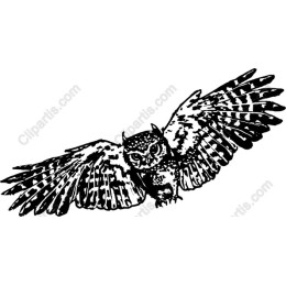 Vintage Owl
