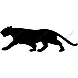 Prowling Panther