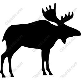 Moose