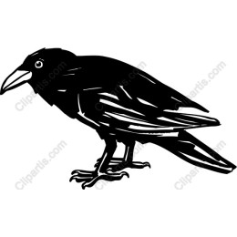 Raven in Black