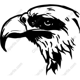 Majestic Eagle Head