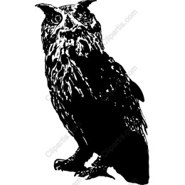 Majestic Owl