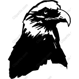 Majestic Eagle Head