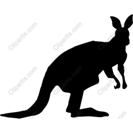 Kangaroo