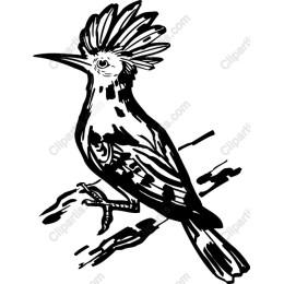 Stylish Bird