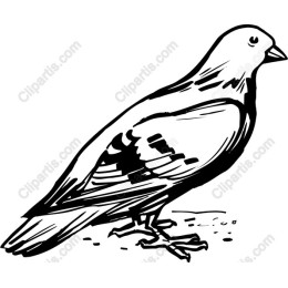 Majestic Bird