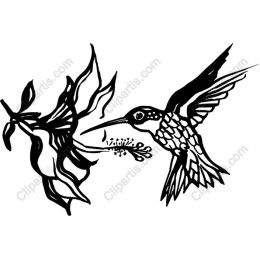 Hummingbird & Flower