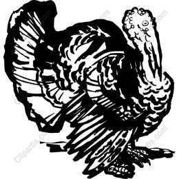 Majestic Turkey