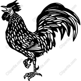 Proud Rooster