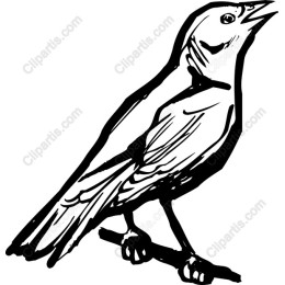 Singing Birdwork