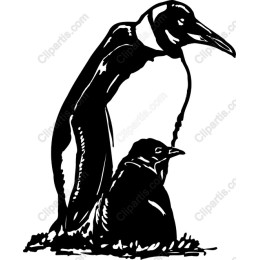 Penguin Parent and Chick