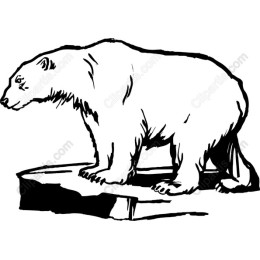 Majestic Polar Bear