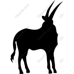 Oryx
