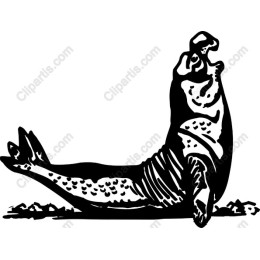 Majestic Sea Lion