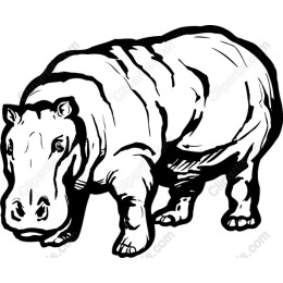 Hippo - Black and White