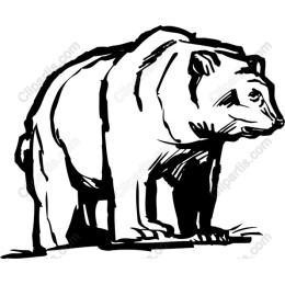 Majestic Bear