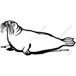Seal
