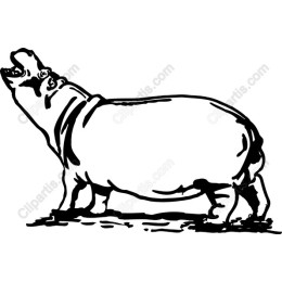 Majestic Hippo