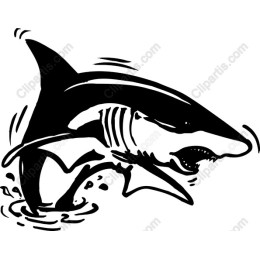 Dynamic Shark