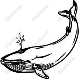 Whimsical Whale