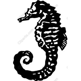 Seahorse