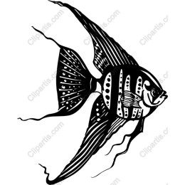 Elegant Black-and-White Fish