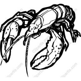 Lobster