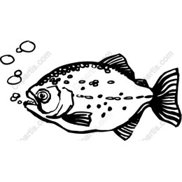 Piranha in Black and White