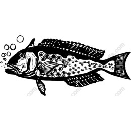 Aquatic Elegance: Black and White Fish