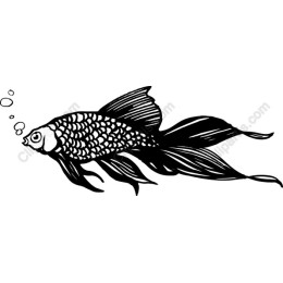 Elegant Goldfish