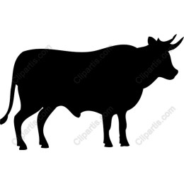 Silhouette of a Cow