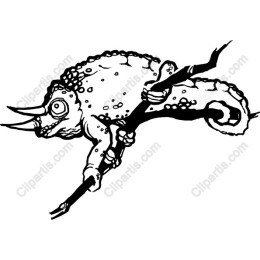 Whimsical Chameleon
