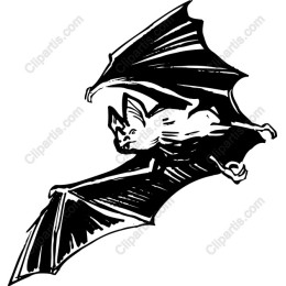 Flying Bat