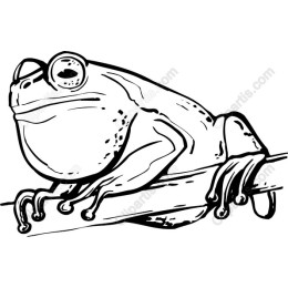Charming Frog