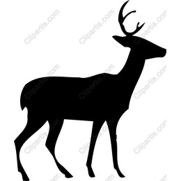 Elegant Deer