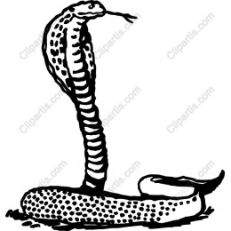 Cobra